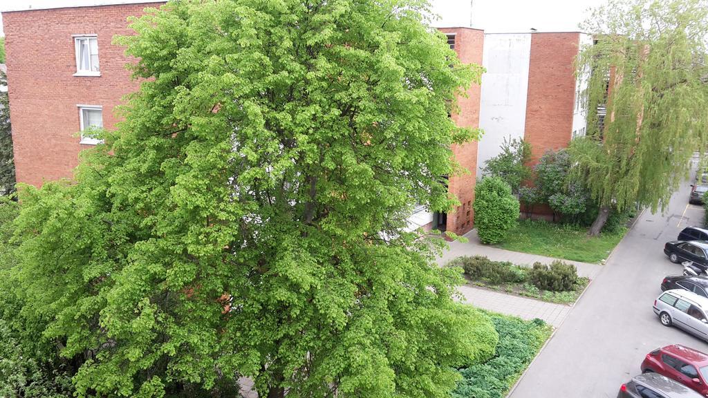 Apartment Amber Sky Паланга Екстер'єр фото